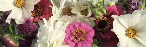 blomsterfonden|blomsterfonden hemtjänst.